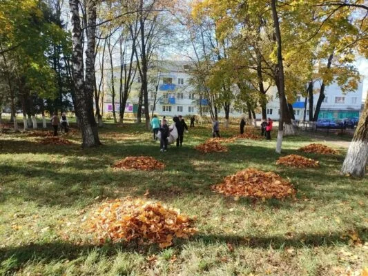 В Мирнинской школе прошел субботник