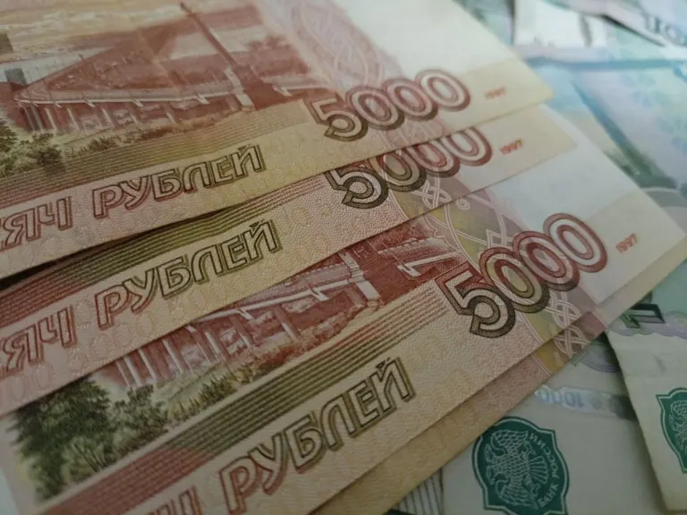 Брянская область получит 23,7 млн рублей на развитие экспорта