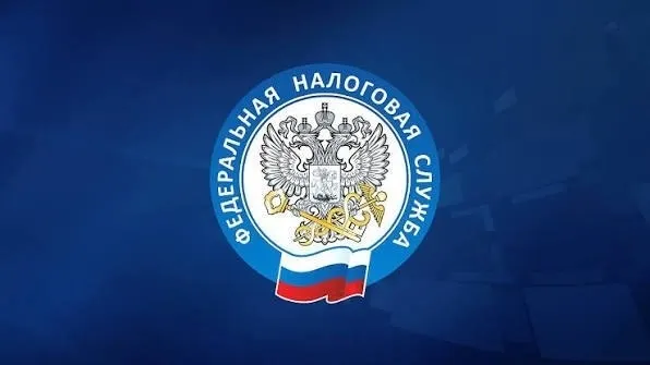 ФНС оштрафовала около 3000 самозанятых за отменённые чеки