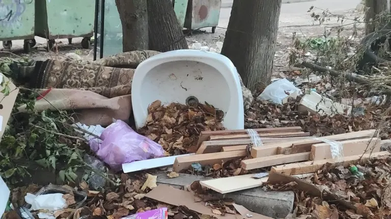 Мэрия Брянска обещала привести мусорку на Тарджиманова в порядок к 30 октября