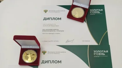 Стародубские производители завоевали восемь золотых медалей на выставке «Золотая осень-2026»