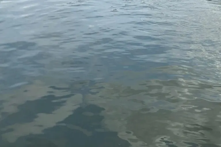 ЛизаАлерт открыла водное направление в Брянской области