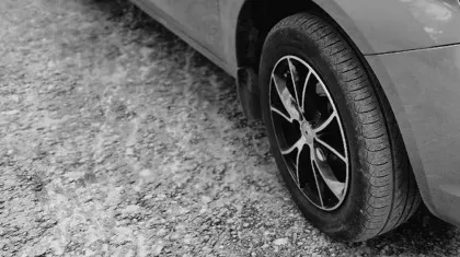 В Карачевском районе автомобилист переехал двухмесячного щенка