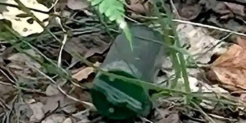 Обнаруженное взрывное устройство в растительности